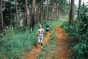 BIB: 
                            <button type="button" onclick="openModal(25690497)" class="btn btn-primary btn-sm float-right btn-popup" data-toggle="modal" data-target=".modal-high-quality">
                        <i class="fas fa-shopping-cart"></i> Add to Cart
                    </button>
                                            <button type="button" onclick="isThisMe(25690497, true)" class="btn btn-success btn-sm float-right btn-popup btn-isme hidden" data-toggle="tooltip" data-placement="bottom" title="นี่คือรูปของคุณใช่ไหม คลิกที่นี่เพื่อเอาเข้าอัลบั้ม">
                        <i class="fas fa-plus"></i> Add to album
                    </button>
                    <button type="button" onclick="isThisMe(25690497, false)" class="btn btn-warning btn-sm float-right btn-popup btn-isnotme hidden">
                        <i class="fas fa-ban"></i> Remove from album
                    </button>